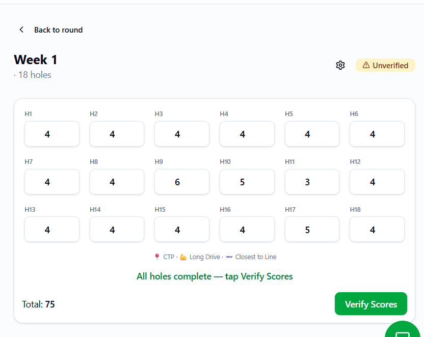 Completed scorecard with the Verify Scores action available